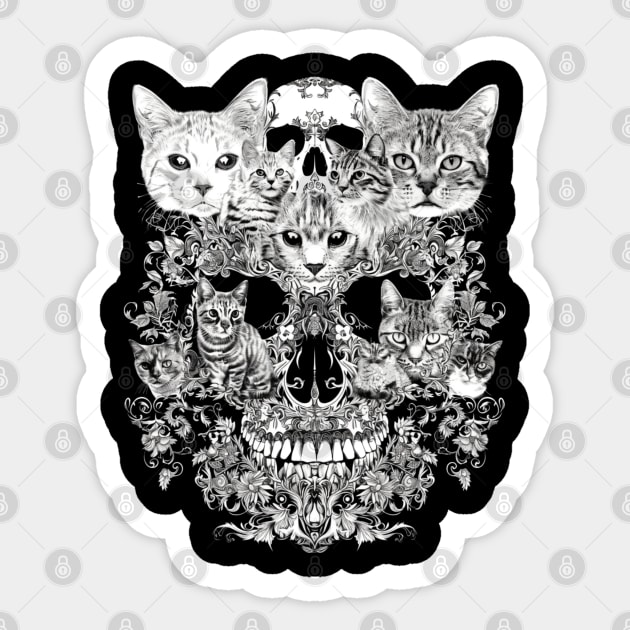 Cat Skull Anatomy Sticker by Gianna Bautista Art